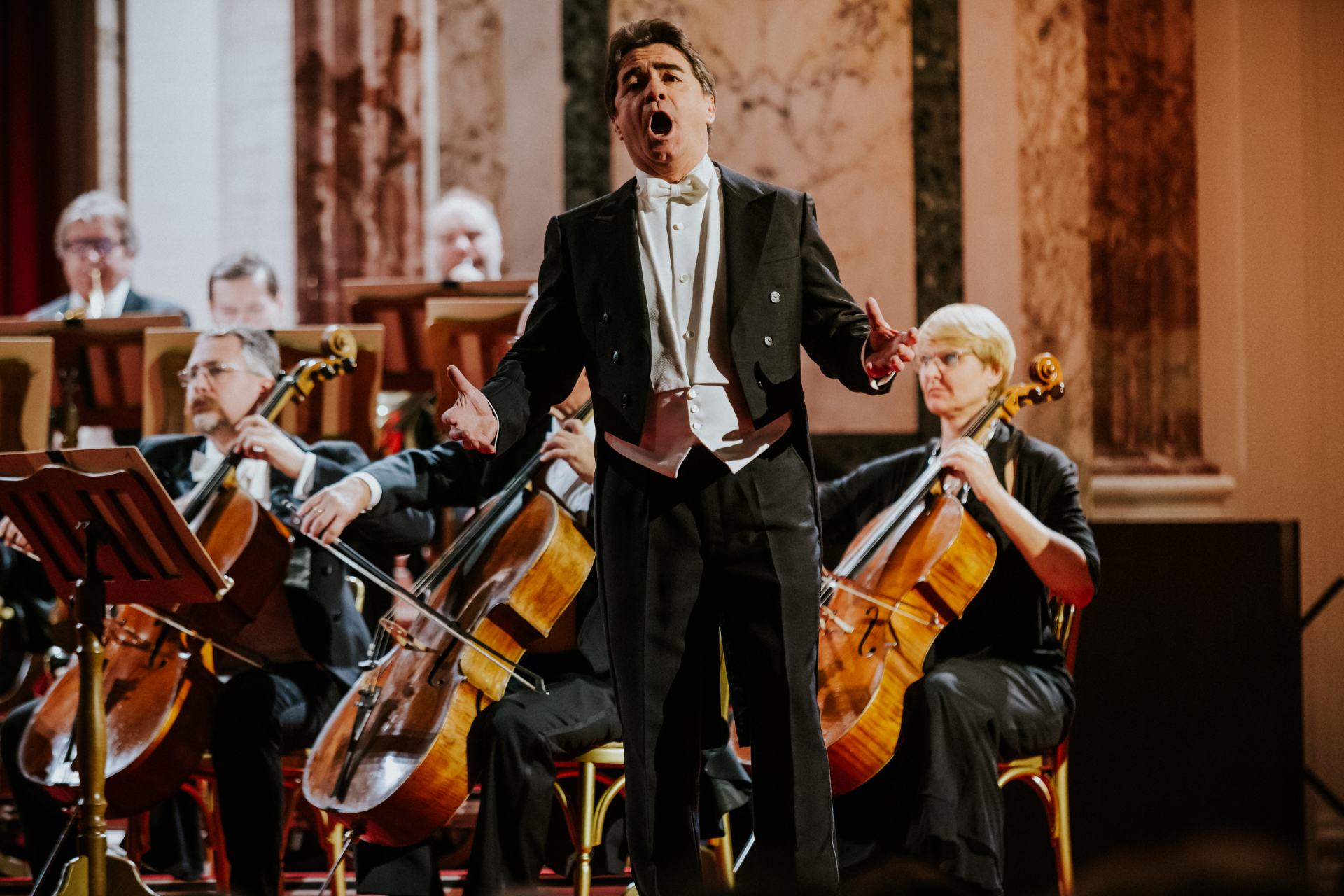 Wiener Hofburg Orchester - Neujahrskonzert in der Wiener Hofburg