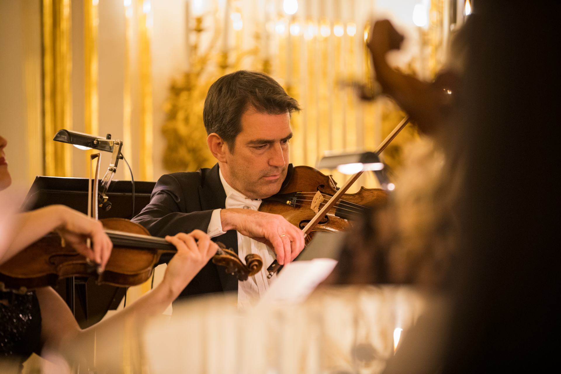 Palace Tour, Dinner & Concert at Schönbrunn
