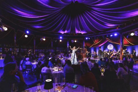Dîner-spectacle Strauss